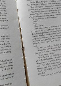 The kite runner