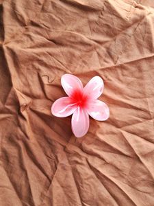 Flower Claw Clip🌸