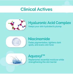 The Derma Co 2% Niacinamide BB Cream