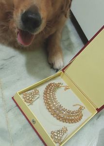 Golden With White Stone Necklace