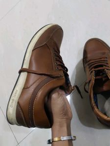 Brown Casual Shoes