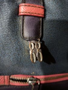 Baggit Handbag With Hidden Pocket For Bottle