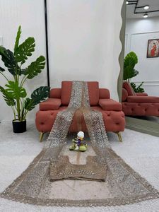 Beautiful Sequence Work Net Saree