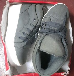 Cute Dark Grey Colour Platform Sneakers For Women