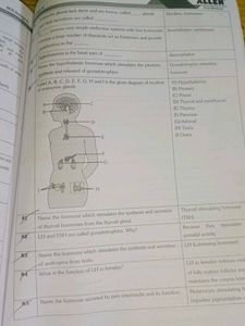 NCR Biology Class XI - ALLEN