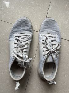 Reebok Sneakers