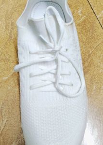 Shoe