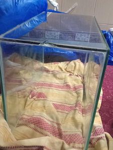 Used Glass Fish Tank