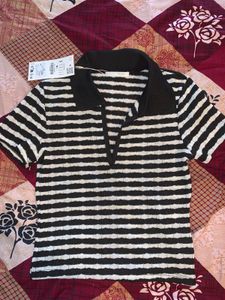 Zara Striped Knit Polo Top