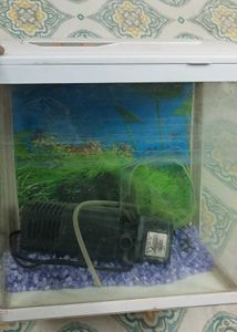 Used Aquarium with filter, stones,