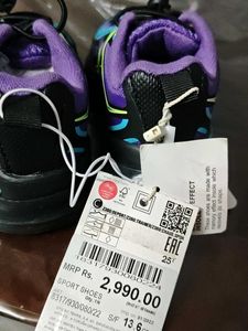Sport Shoes