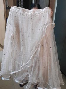 Elegant Beige Embroidered Lehenga set