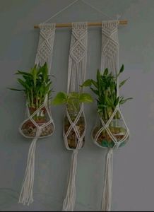 Plant Wall Hanging