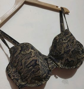 Leopard Print Brown Bra For Bust 38DD