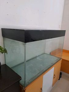 Glass Aquarium With Black Lid