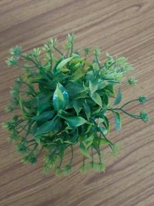 Fake decorative  plant For decoration