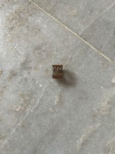 Everything 100 Coins