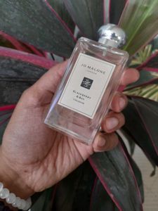 Jo Malone London Blackberry &amp; Bay