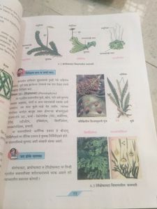 Class 9th Science And Technology Textbook
