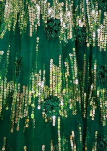 Green Colour Gown With Full Of Sequence Work
