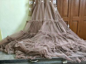 Elegant Ethnic Gown