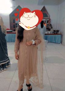 Elegant Brown Embroidered Salwar Kameez