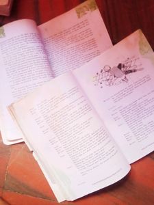 Class 12 English( Vistas And Flamingo) Book