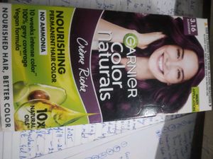Garnier Hair Color