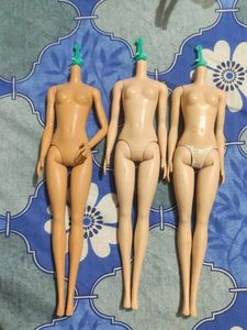 Doll Body