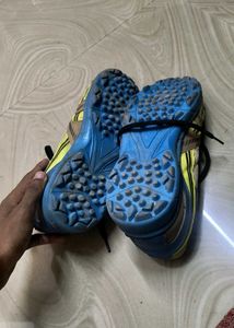 Cricket sports shoes