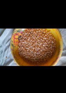 Half Pearl Stone 50 Gram