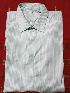 LessUsed LightOliveGreen WithWhiteSripes Shirt