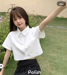 New With Tag Crop Half Cute Shirt