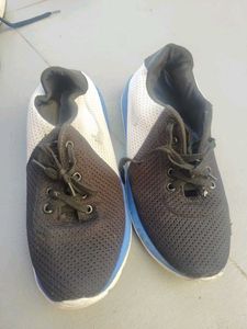 shoe
