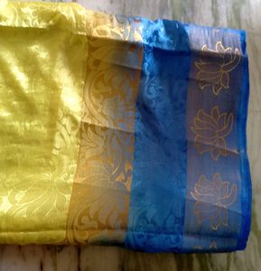 Party Ware Light Green &amp; Blue Colour Saree With Blouse