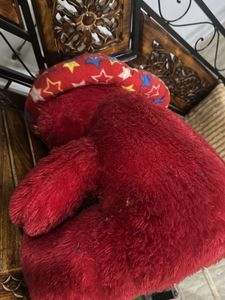 Red Star Teddy Bear