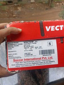 Vector X Sport Shoes