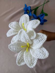 Viral Crochet Lilly 🤍
