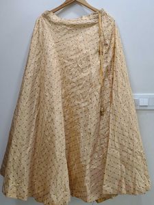 Elegant Ethnic Skirt