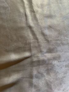 Beautiful Shiny Saree