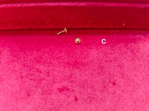 Pure Gold Flower Stud Earrings And Nose Ring