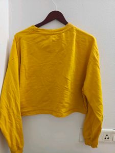 Crop pullover top