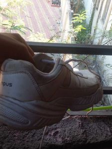 Nice White Campus Shoes.