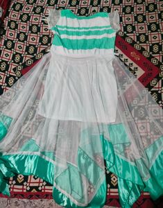 Gorgeous Net Western Gown