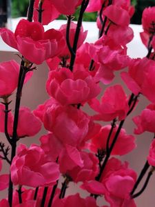 Pink Blue Flower Set