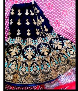Elegant Embellished Lehenga