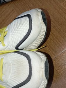 Mens Multicolor Shoe