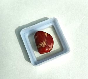 Real Red Coral
