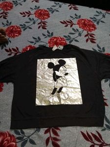 ZARA T- Shirt  (Top)