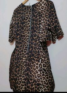 Brown Lion Printed Dress For 36 Bust